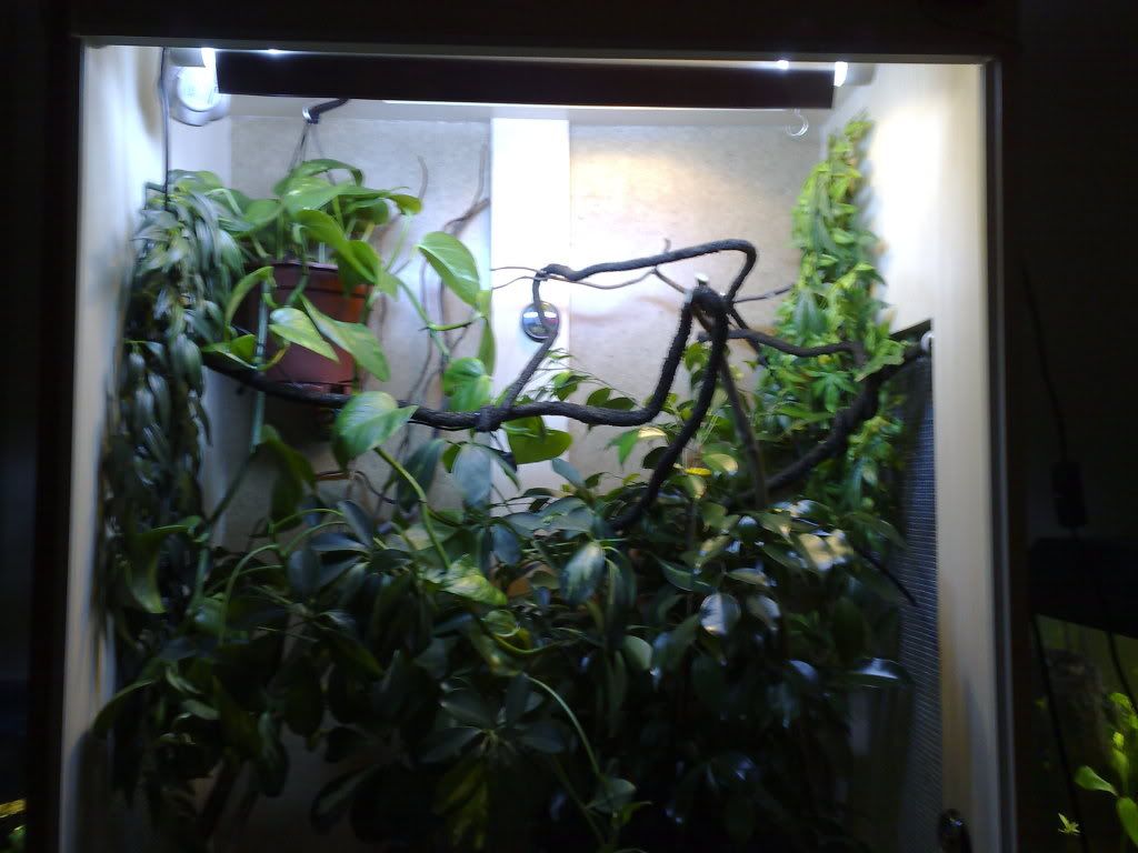 29082008281.jpg