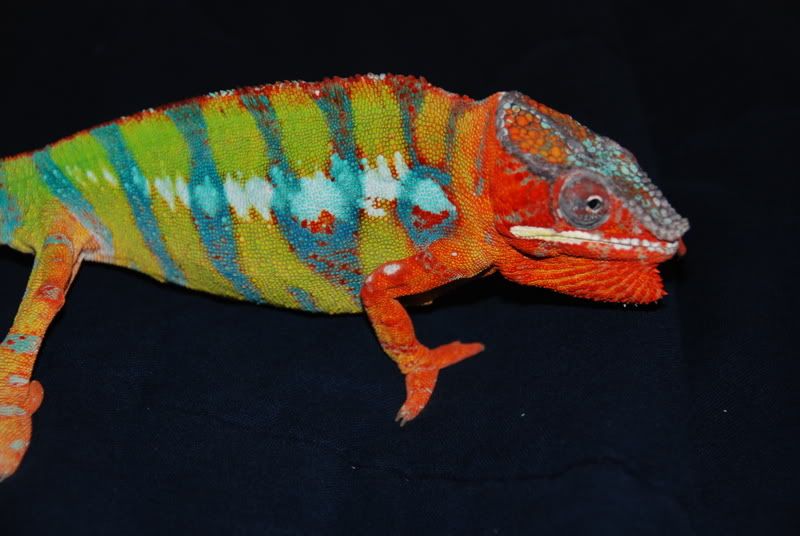 20070913002.jpg