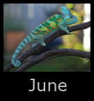 6jun.jpg