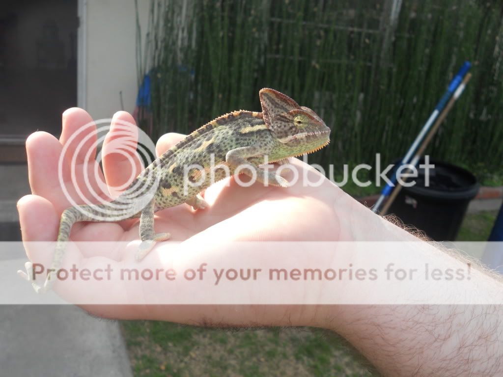DSCN2306.jpg