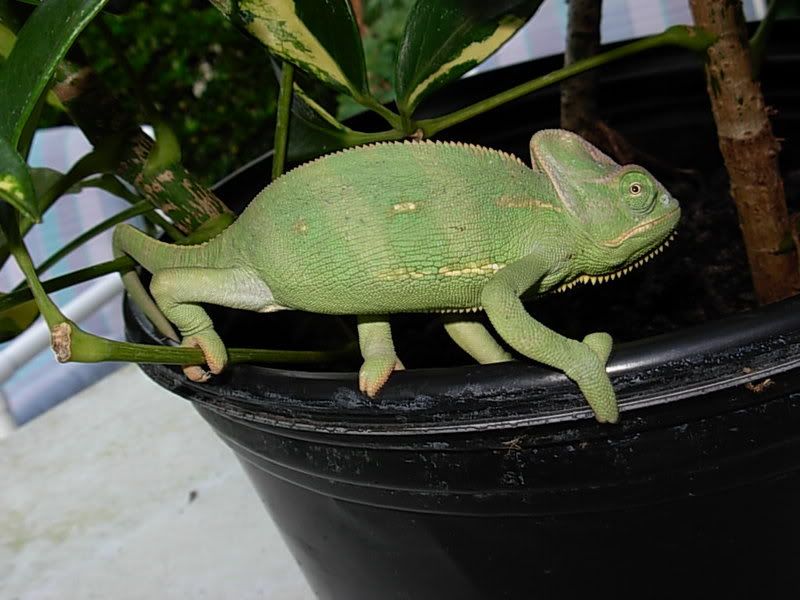 DSCN2859.jpg