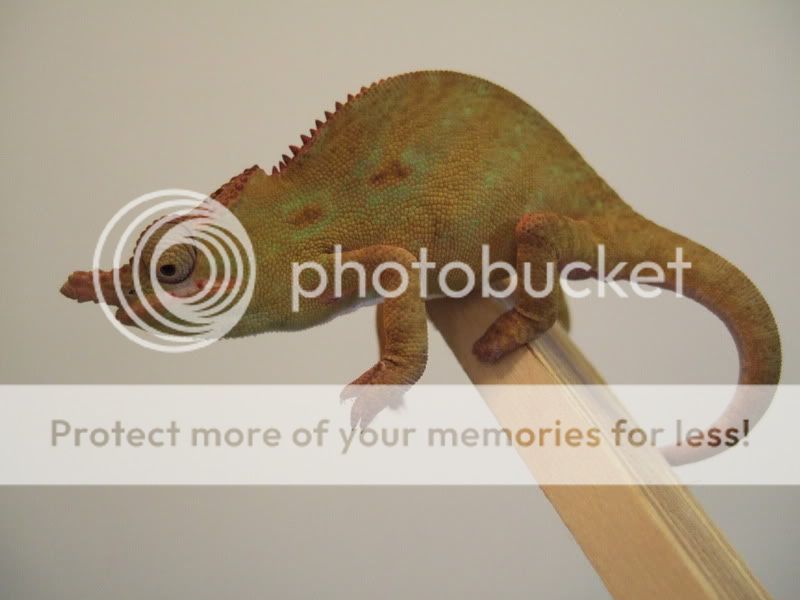 DSCF4927.jpg
