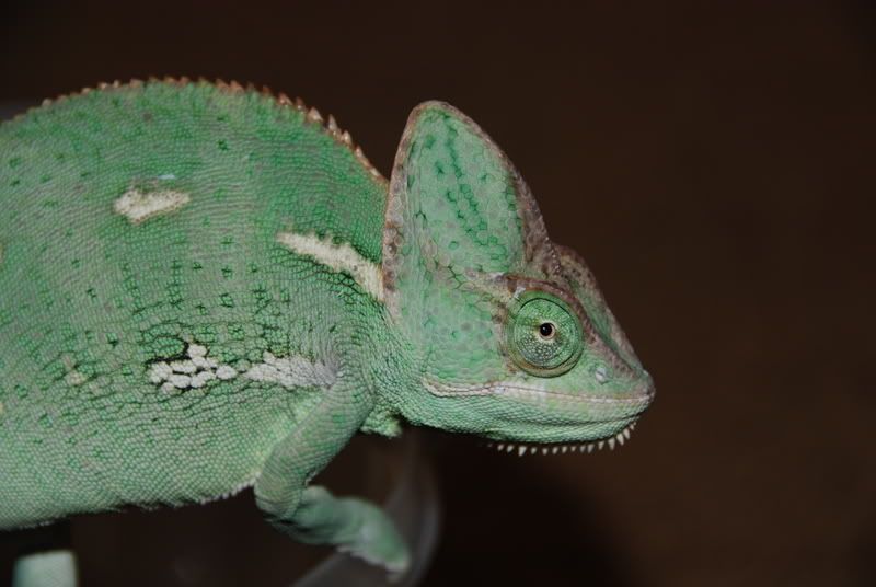 20071021002.jpg