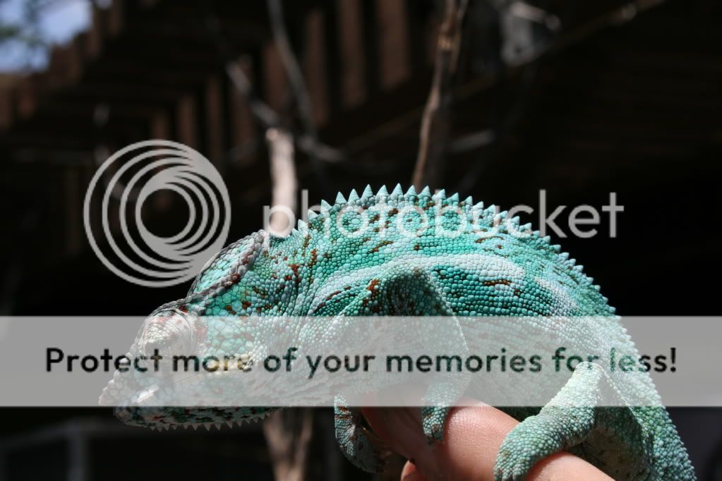 eospics9-19-09031-1.jpg