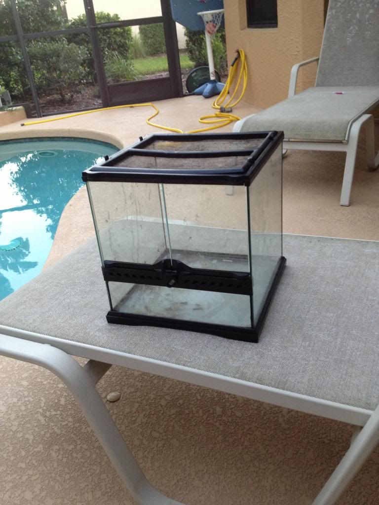 cage_zps4694459f.jpg