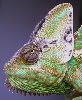 100_7172-2.jpg