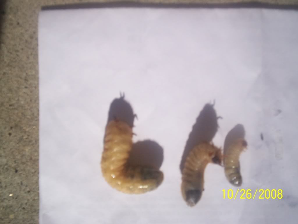 5966E05C.jpg