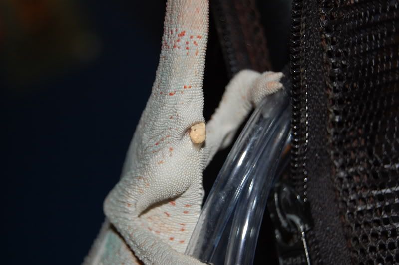 DSC_0159.jpg