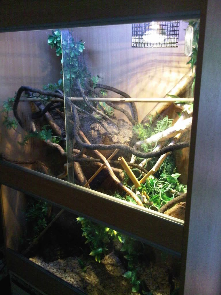 IMG00864-20110725-1637.jpg