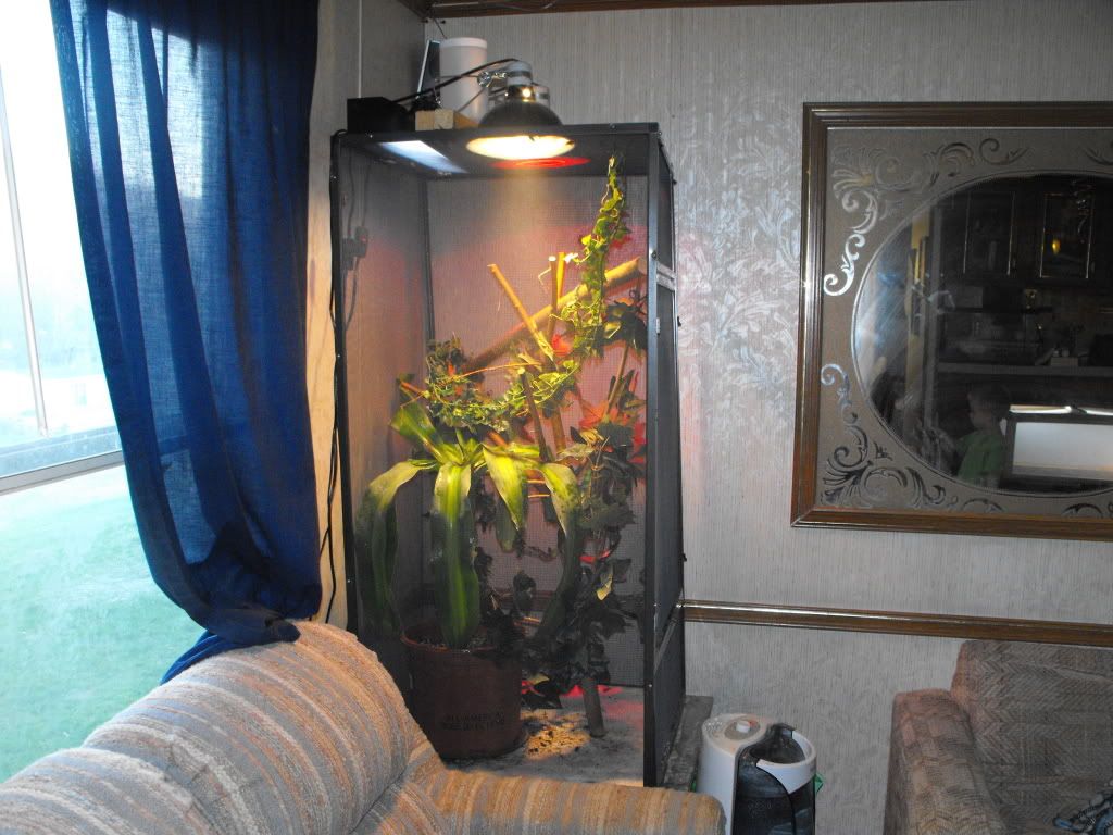 newpics075.jpg