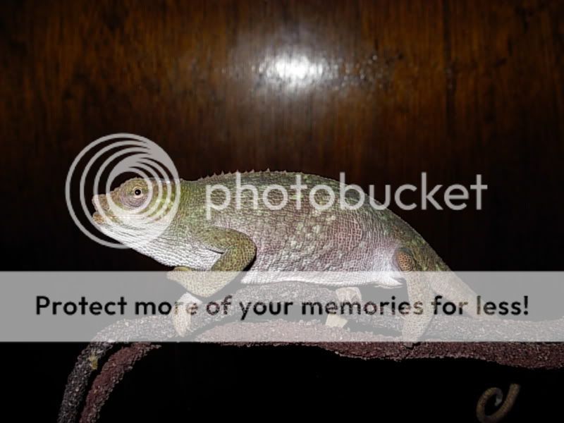 DSCN5243.jpg
