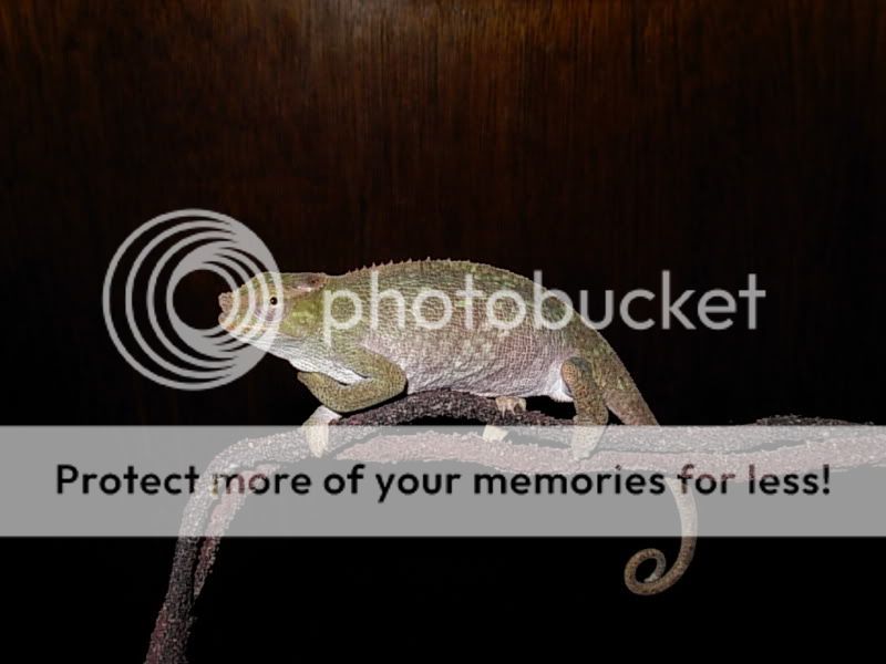 DSCN5245.jpg