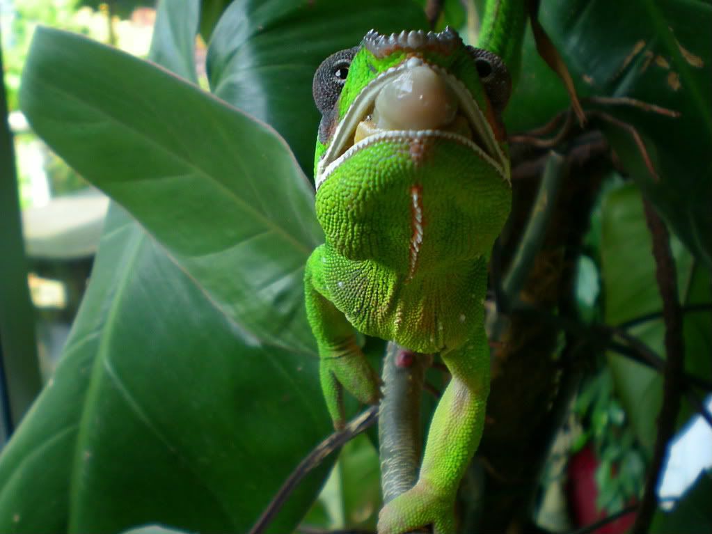 RSCN1177.jpg