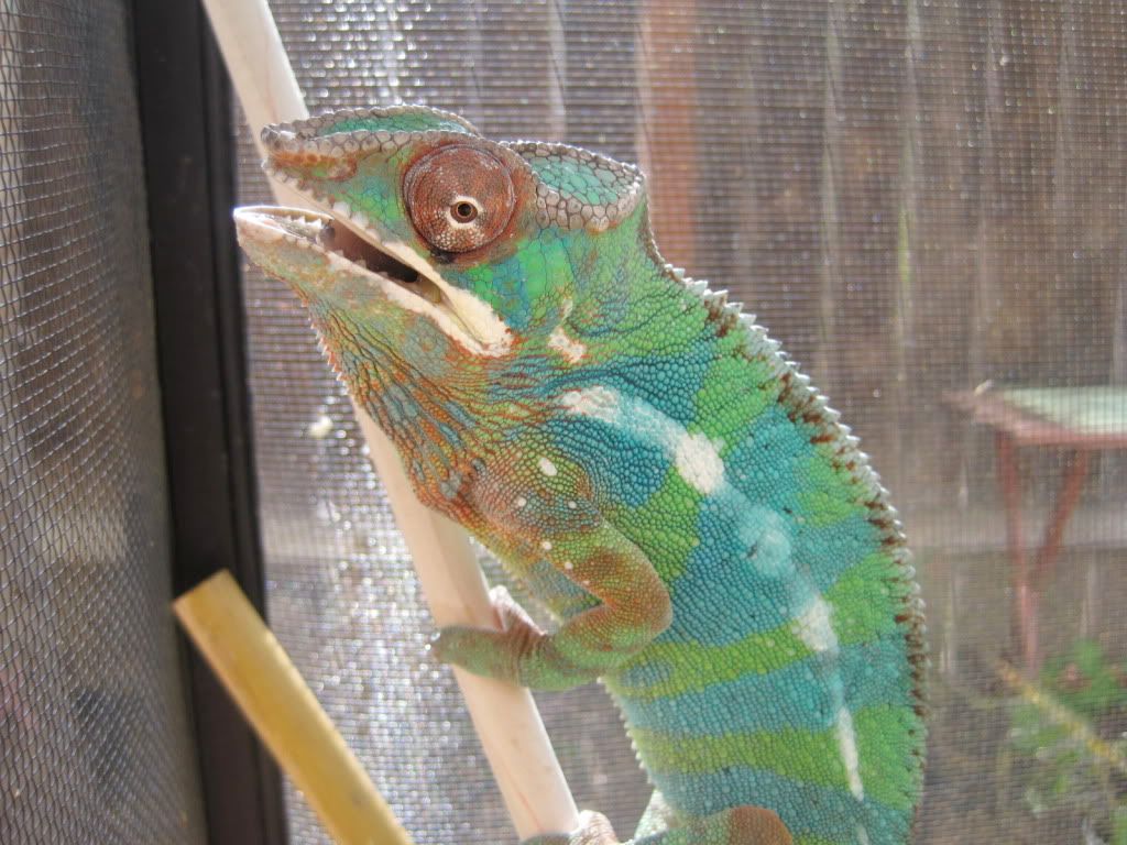 IMG_4280.jpg