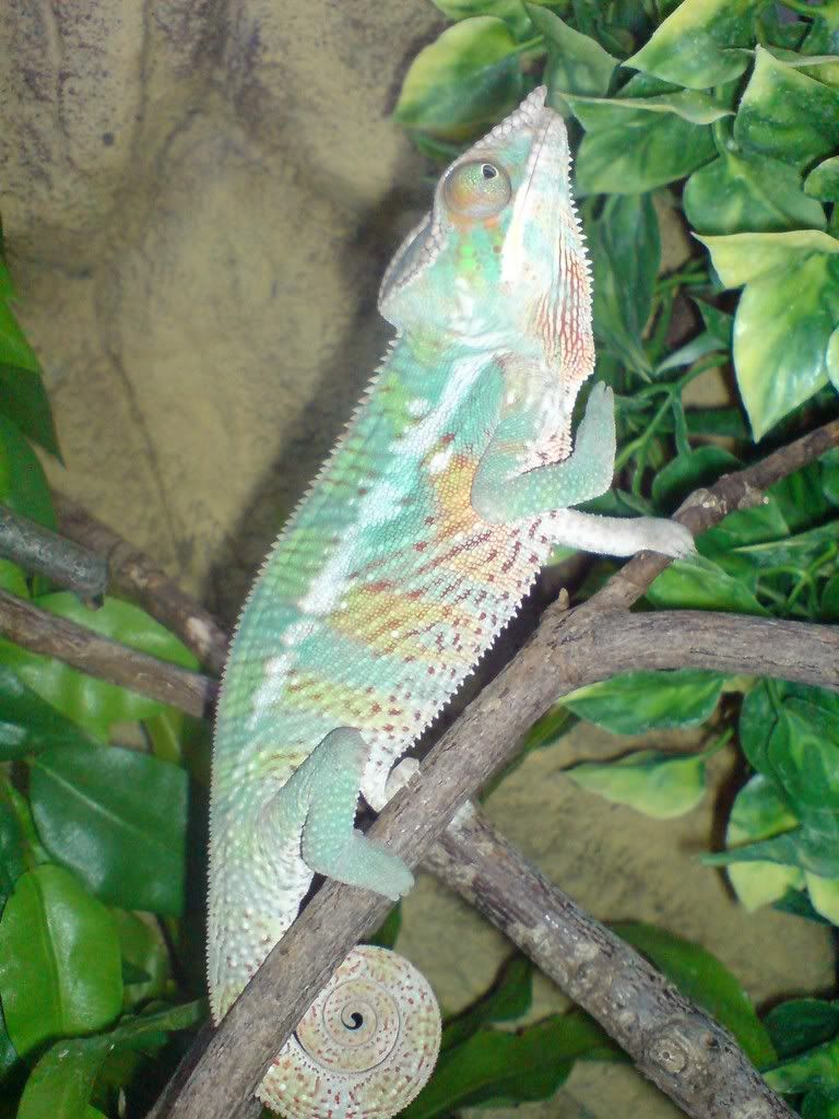 DSC01674.jpg