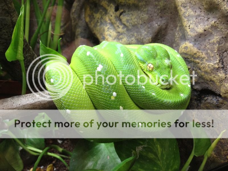 gtp2.jpg