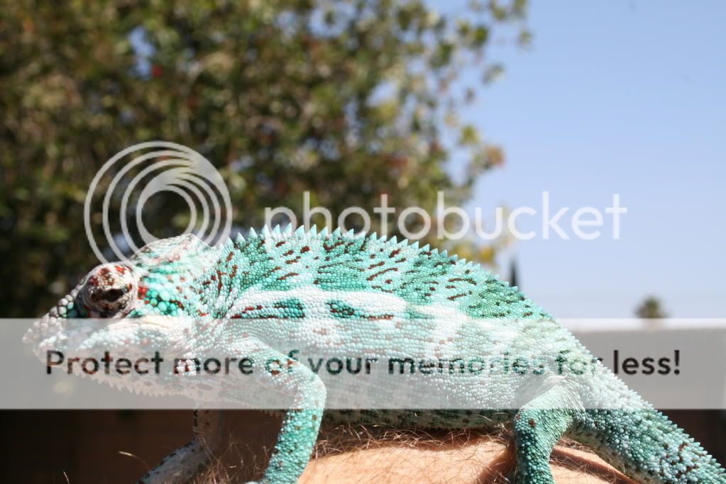 eospics9-19-09013-1.jpg
