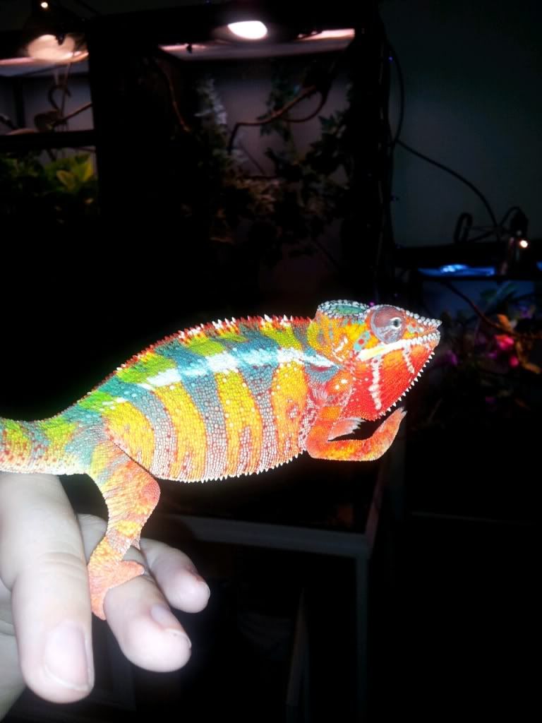 2013-10-27132857_zpsf24dadf7.jpg
