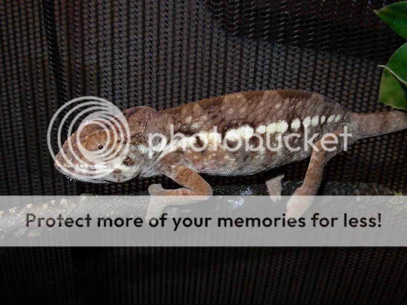 DSCN5818.jpg