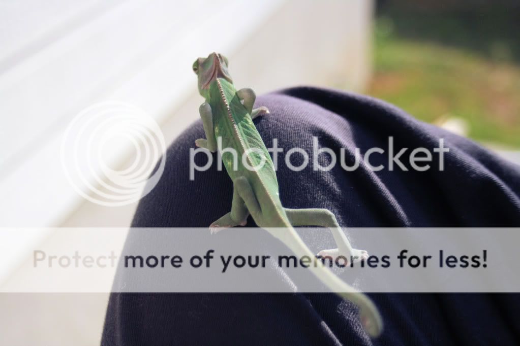 20110717_121.jpg