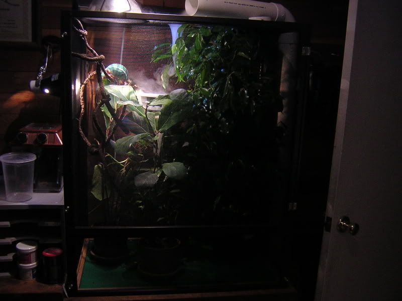 DSCN5178.jpg