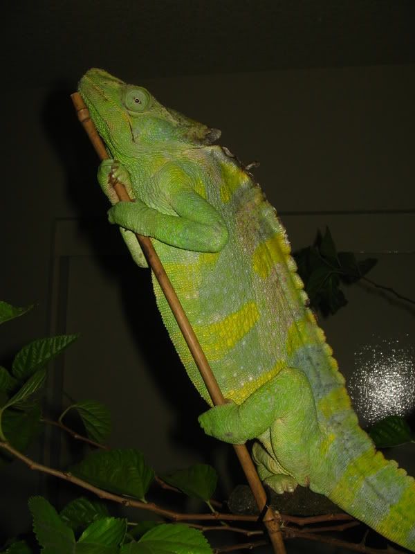 IMG_8749.jpg