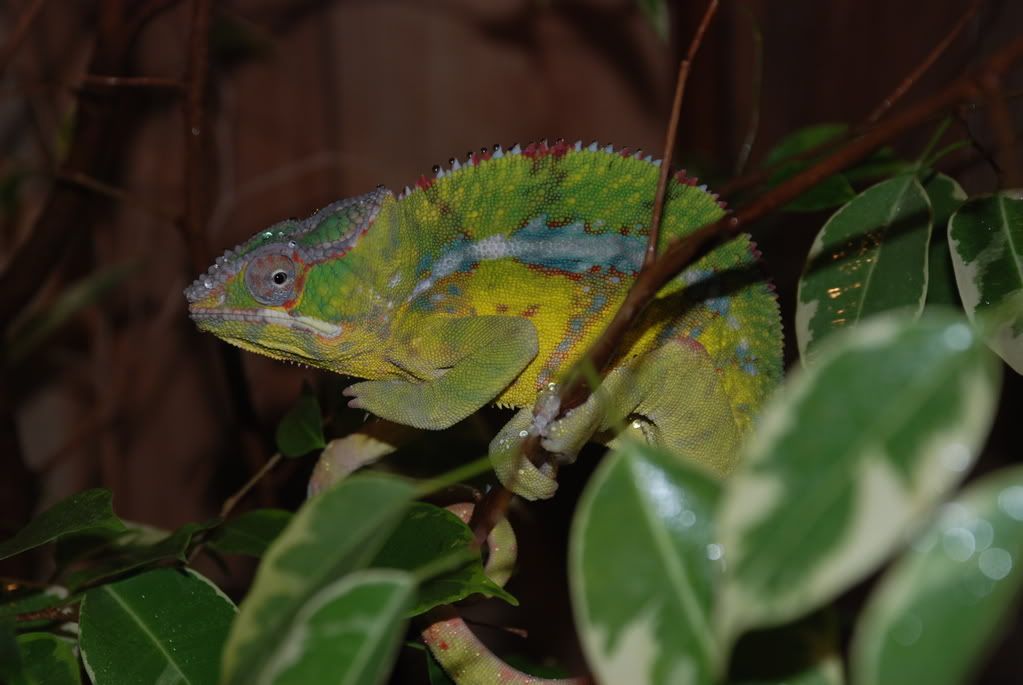 DSC_0264.jpg