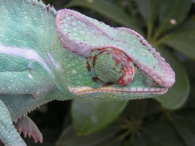 PICT3456.jpg