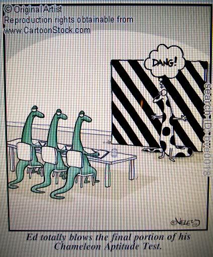 chameleonaptitudetest.jpg