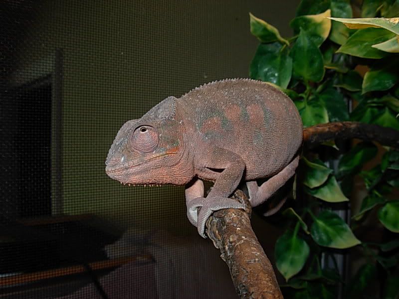 DSCN0809.jpg