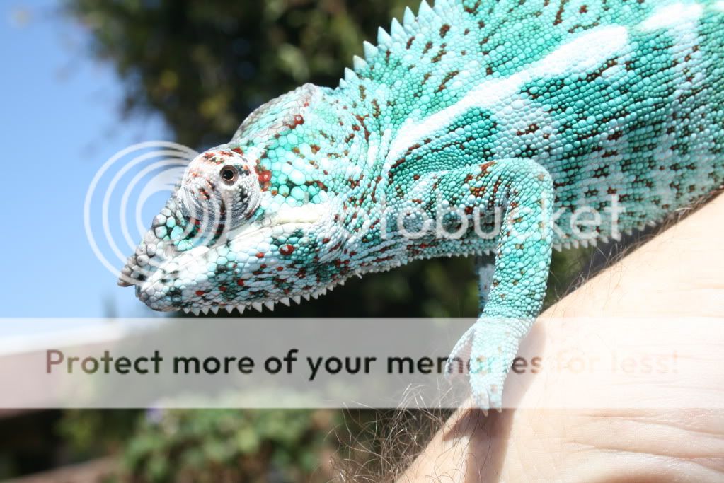 eospics9-19-09023.jpg