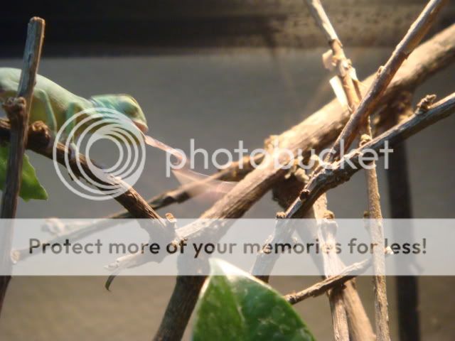 DSC03952.jpg