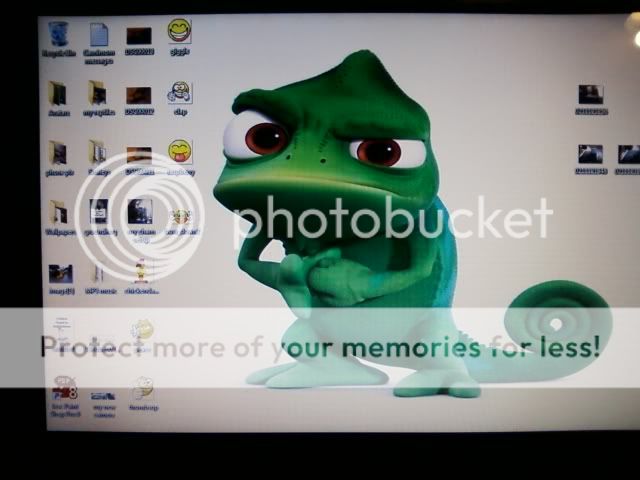 0212121222.jpg