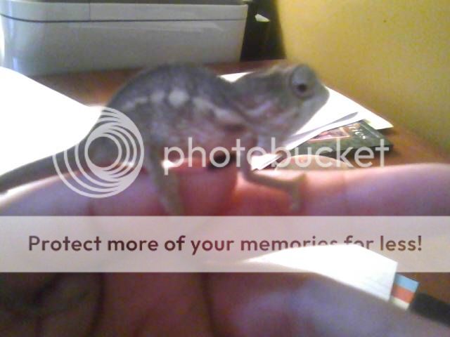 1003121542a_zps5c93f929.jpg