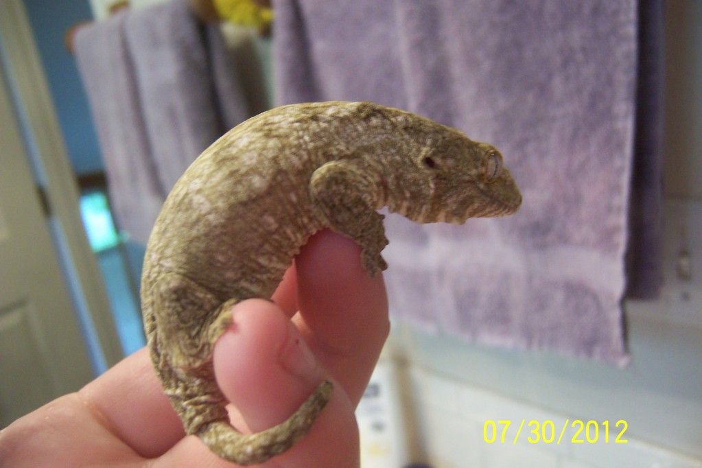 100_2825.jpg