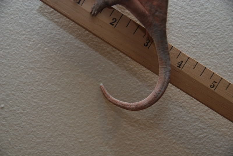 20080102009.jpg