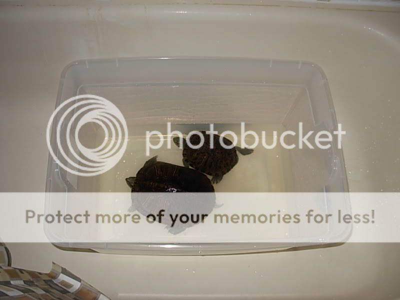 DSCN6109.jpg