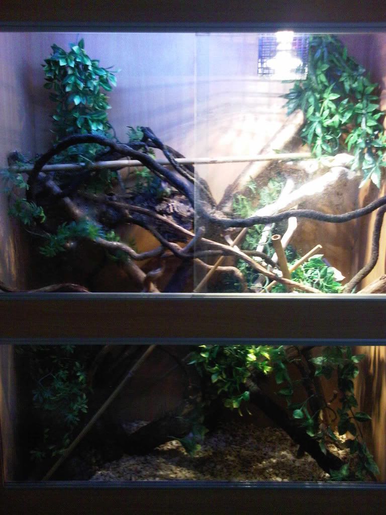IMG00862-20110725-1637.jpg