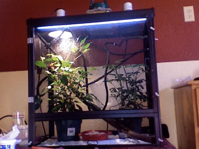 Photo10.jpg