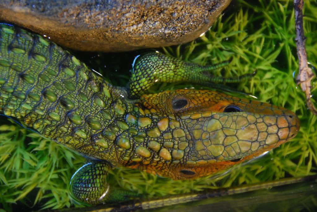 summer20111339.jpg