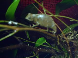 PICT0009.jpg