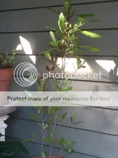 2011-10-14092641.jpg