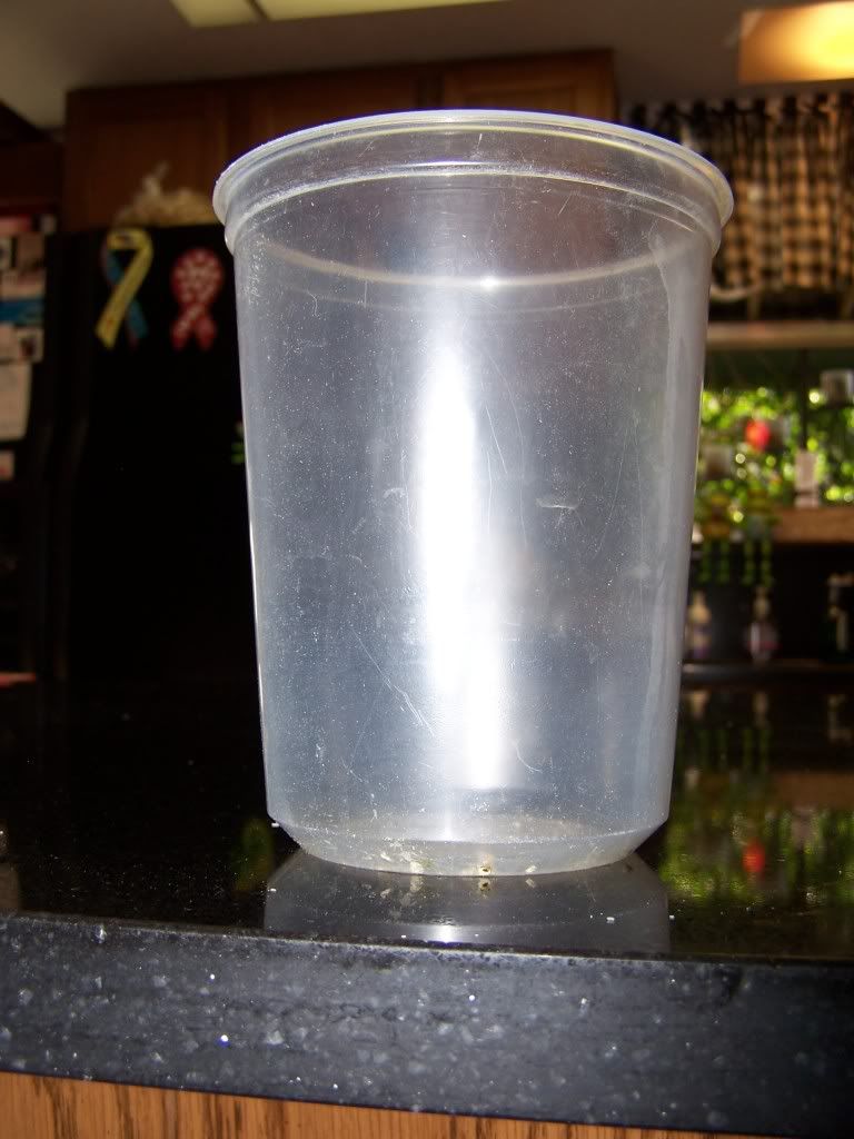feedercups030.jpg