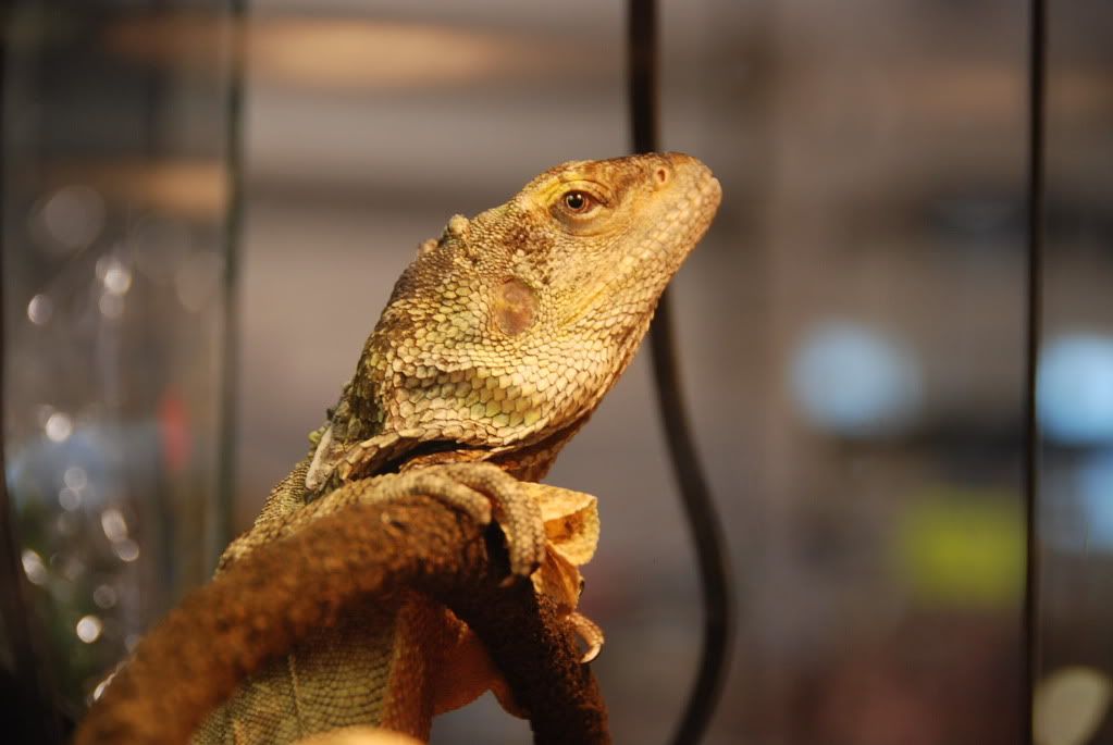 summer20111213.jpg