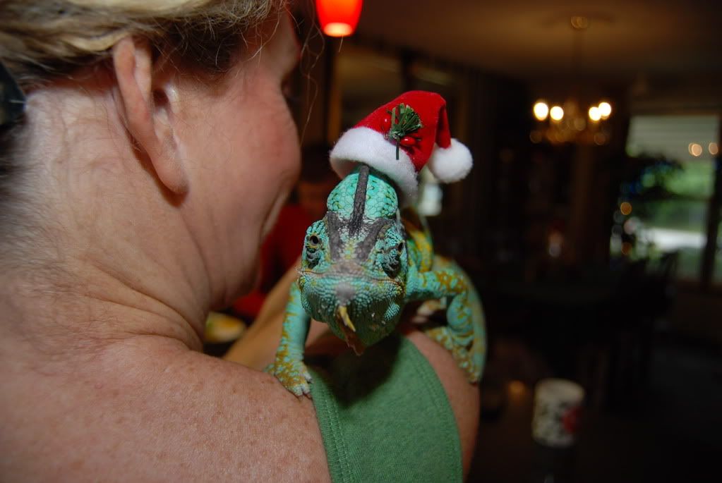 christmas2009045.jpg