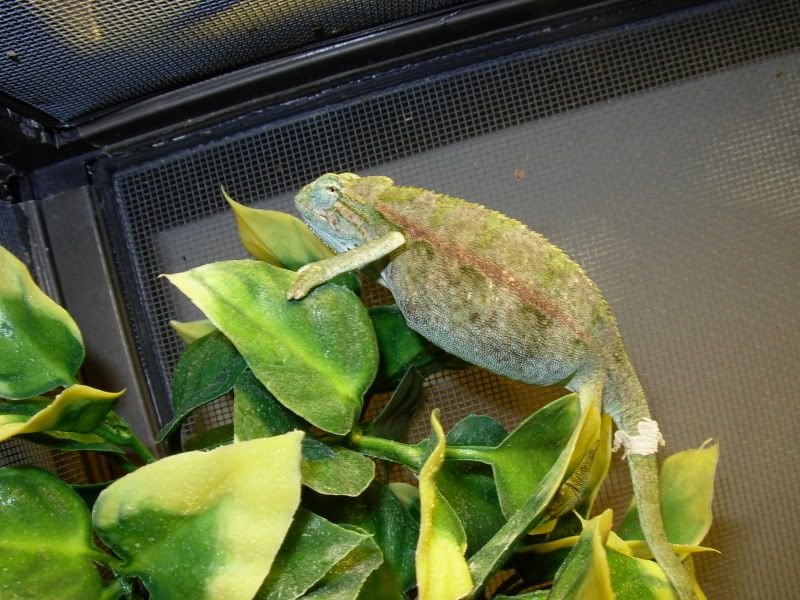 DSCN8518.jpg