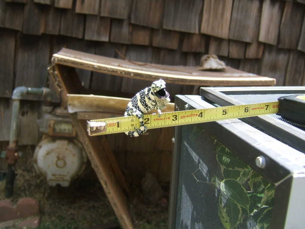 DSCF7554.jpg