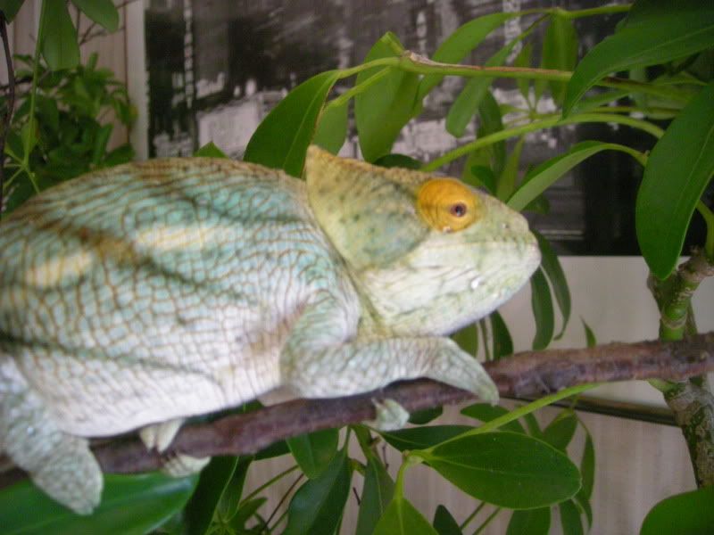 5MONTHOLDPARSONII002.jpg