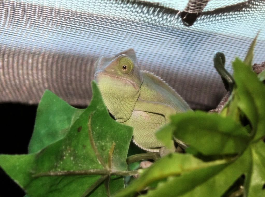 20110706_27.jpg