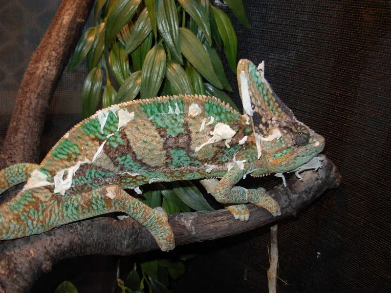 DSCN8290.jpg